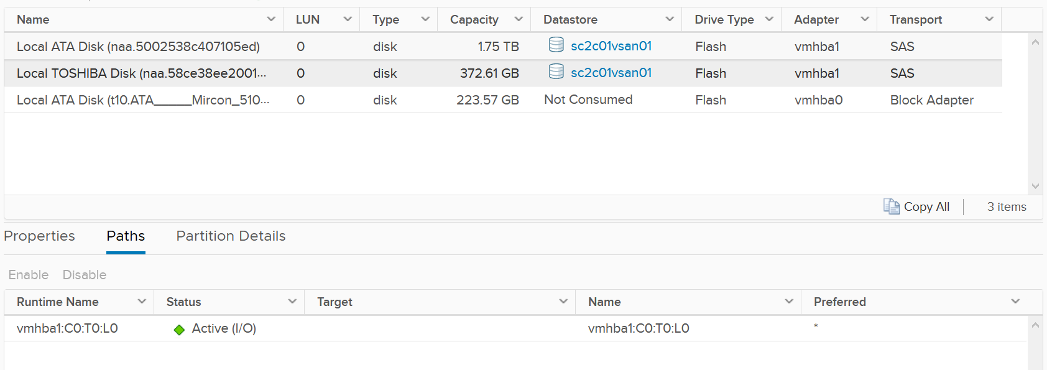 vSAN Paths